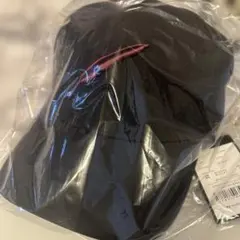 Item thumbnail for item b1a95295-b33e-4308-8e4c-02c2c0ab923d