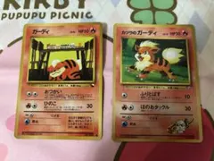 旧裏 ガーディ おつかい カツラのガーディ