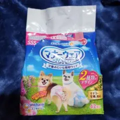 Item thumbnail for item 5a774dab-cc2d-4b4e-9ecf-c1dccef07d1d