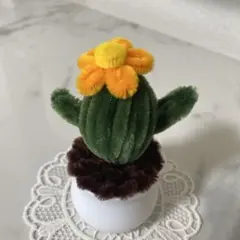 サボテン 鉢植え モールフラワー　枯れないお花のサムネイル
