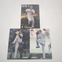 プロ野球チップス 2024  阪神タイガース 3人セット