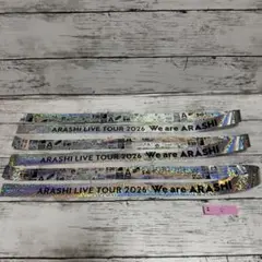 嵐 We are ARASHI 2026 ペンライト 金テ銀テ付き - メルカリ