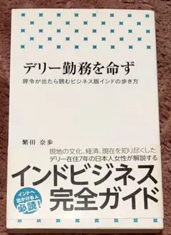 デリー勤務を命ず 辞令が出たら読むビジネス版インドの歩き方