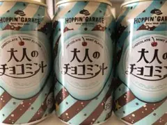 HOPPIN' GARAGE 大人のチョコミントビール　350ml