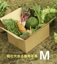 京都の野菜セット M　詰め合わせ　tomico〔メルカリ便〕　j