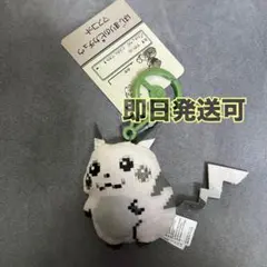 はじまりのピカチュウ ポケモンセンター 30周年 限定