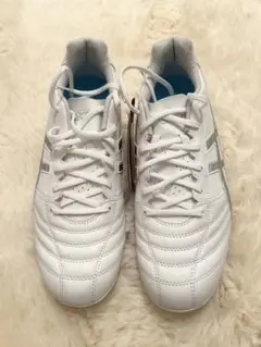 Item thumbnail for item 160353b6-7e96-4e7c-a81d-11efbd7701cc