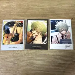 カラーマリス ポストカード 柳愛時 岡崎契 笹塚尊 白石景之 星野市香