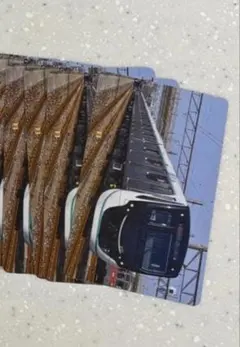 ぽっぽ様限定