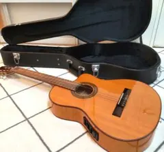 2025年最新】ibanez ハードケースの人気アイテム - メルカリ