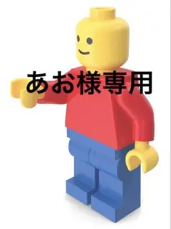 あお様専用⭐︎