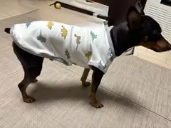 Item thumbnail for item 1cce7345-e09d-4881-8bb7-6ac334840e4e