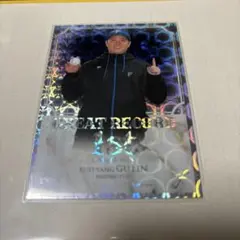 古林叡煬　グーリン　日本ハムファイターズ　初勝利インサート　BBM fusion