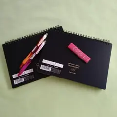 Item thumbnail for item b5628d76-b5ee-4a84-93f9-573f47bf0052