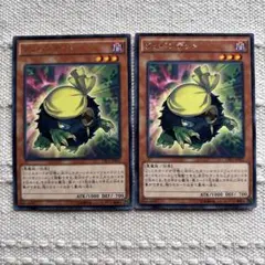 クリバンデット　2枚セット