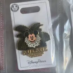 アウラニ　ミッキー ピンバッジ　ハワイ限定