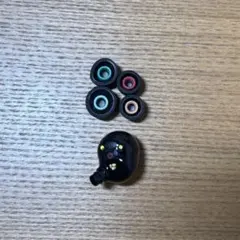 [5.0.2] SONY WF-1000XM5　右耳 (R )