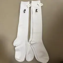 Item thumbnail for item e703f6bc-28fe-43f3-a6a9-b302facab8a9