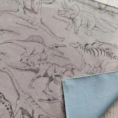 ダイナソーワールド　ランチョンマット　恐竜柄