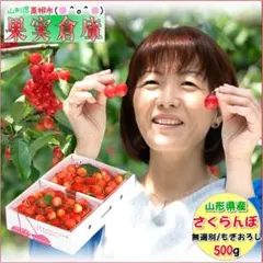 クール便】山形県産 露地 もぎおし さくらんぼ ご家庭用(サイズ混合