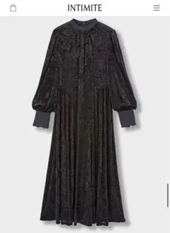 intimite アンティミテ　Mesh Velour One-piece