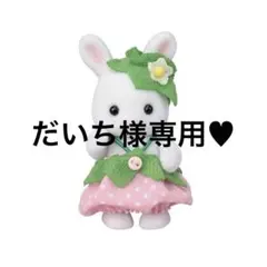 だいち様専用 シルバニアファミリー