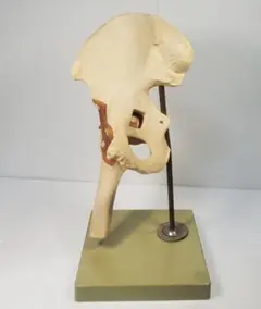 Item thumbnail for item 6775268c-c79f-4559-a372-ca80381fd3a3