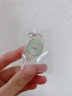 【きょろ様専用】すみっコぐらし　アクリルチャーム　とかげ（本物）