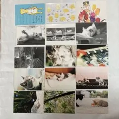 [P002] ポストカード「ネコ」30枚