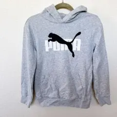 PUMA 140〜150 グレー フーディー プーマ パーカー ロゴ キッズ