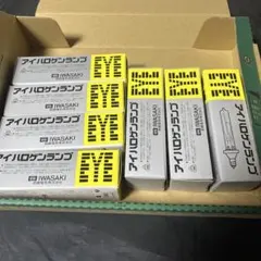 アイランプ フラッド電球 100V 500W 岩崎電気 5箱セット - メルカリ