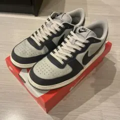 NIKE TERMINATOR LOW 10 (US)