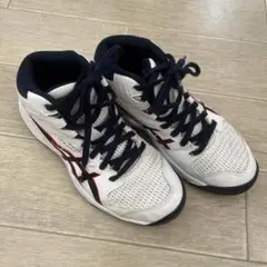 アシックス　バッシュ20.5cm