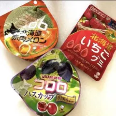 北海道 グミ ハスカップ 赤肉メロン いちごのサムネイル