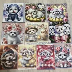 パネル生地　マルチーズ③
