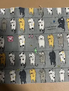 Item thumbnail for item 41d67614-b0d3-4b59-9d29-da310e420b68