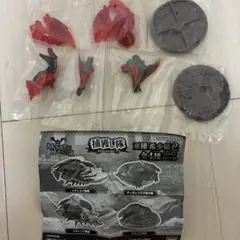 モンスターハンター 捕獲し隊 フルフル亜種 ティガレックス亜種希少種