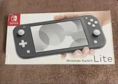 Nintendo Switch Lite グレー 本体 ケース&カバー付き