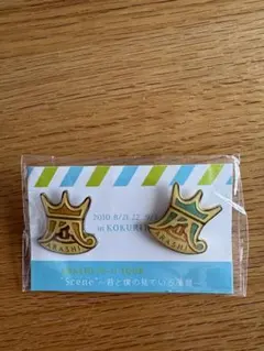 ARASHI 10-11 TOUR Scene ピンバッジ 2個セット