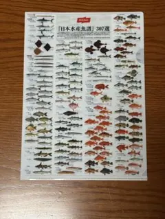 日本水産魚類 307選 クリアファイル