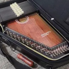【極美品】Chromaharp オートハープ　専用ケース付き 2025年最新】オートハープ ケースの人気アイテム - メルカリ