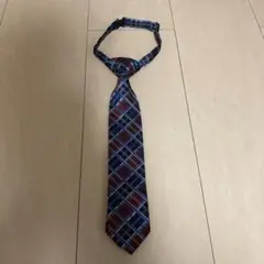 Item thumbnail for item 4f5ae935-c1a5-4d14-a9e6-ed03b0430790