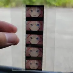 映画 五等分の花嫁 生コマフィルム