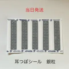 Item thumbnail for item c1a9f26b-0ed7-4735-9e2d-b182fbb4e634