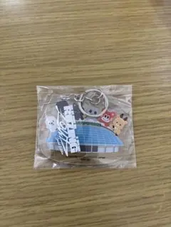 RIIZE アプグレ　特典　キーホルダー　東京ドーム