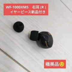 2026年最新】SONY wf-1000xm5 右の人気アイテム - メルカリ
