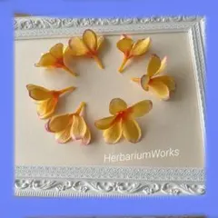 EMI様 リクエスト 2点 まとめ商品