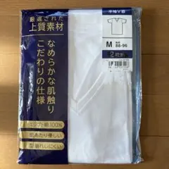 Item thumbnail for item 797e5d49-c377-45d5-a898-869f9df5709e