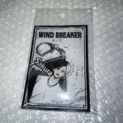 2026年最新】WIND BREAKER 桜遥 ロックレザーの人気アイテム - メルカリ