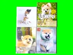 Item thumbnail for item 214835b0-0fbb-4c32-b86d-c4d6670c8dce